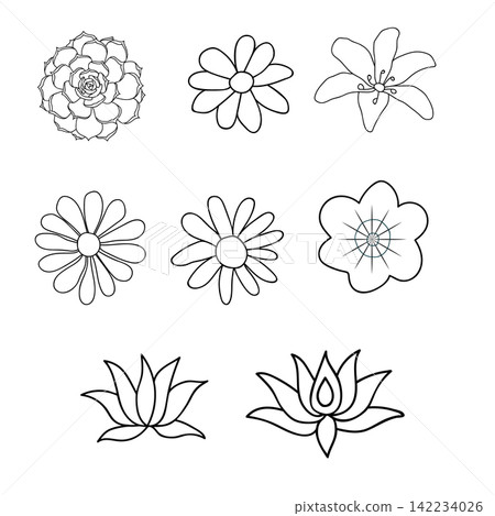 Illustration of the flowers on a white background. Vector illustration. Illustration of the flowers on a white background. Vector illustration. 142234026