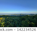 The coastline of the Sea of Japan from the summit of Mt. Okasayama 142234526