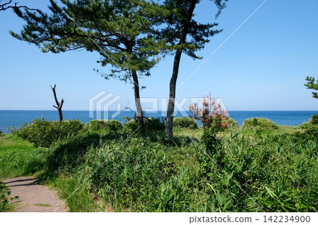 Fukui Prefecture, Sakai City - Maruoka Domain Battery Site 18 - August 2025 Fukui Prefecture, Sakai City - Maruoka Domain Battery Site 18 - August 2025 142234900