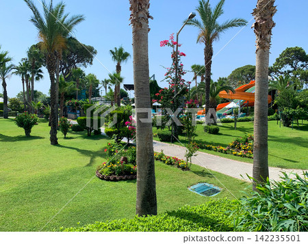 A manicured green resort garden with tall palm trees and colorful flowers against a bright blue sky on a warm summer day with a water slide in the distance A manicured green resort garden with tall palm trees and colorful flowers against a bright blue sky on a warm summer day with a water slide in the distance 142235501