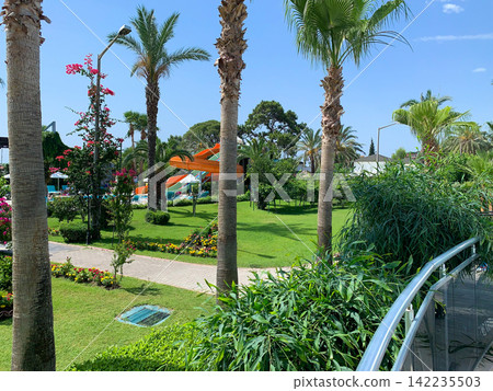 Colorful water slides set in a lush green tropical park with tall palm trees and bright flowers on a sunny summer day at a resort destination Colorful water slides set in a lush green tropical park with tall palm trees and bright flowers on a sunny summer day at a resort destination 142235503