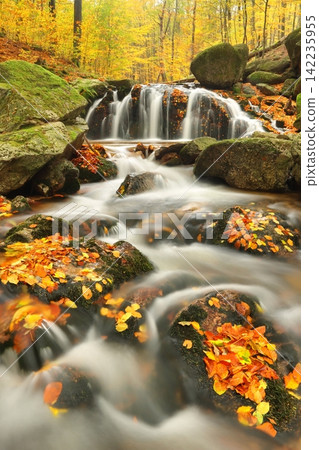 Beautiful waterfall on Maly Stolpich stream in Czech republic 142235955