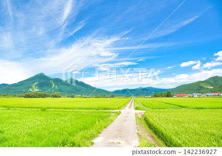 Inawashiro Town, Yama District, Fukushima Prefecture: Summer scenery of Mt. Bandai and rural landscape Inawashiro Town, Yama District, Fukushima Prefecture: Summer scenery of Mt. Bandai and rural landscape 142236927