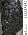 coal 142237169