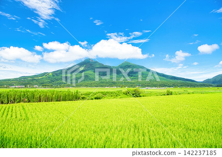 Inawashiro Town, Yama District, Fukushima Prefecture: Summer scenery of Mt. Bandai and rural landscape Inawashiro Town, Yama District, Fukushima Prefecture: Summer scenery of Mt. Bandai and rural landscape 142237185