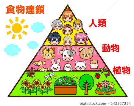 Illustration material 2 of the food chain pyramid 142237234