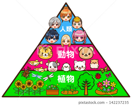 食物鏈金字塔圖示素材3 食物鏈金字塔圖示素材3 142237235