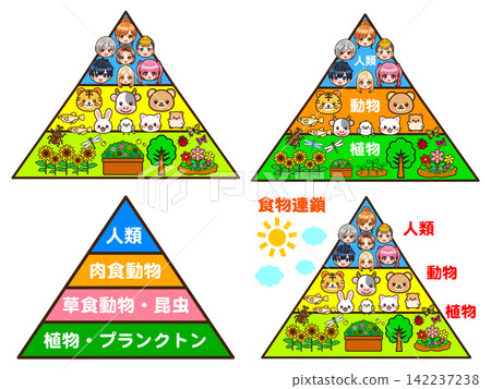 A set of illustrations depicting a food chain pyramid. 142237238