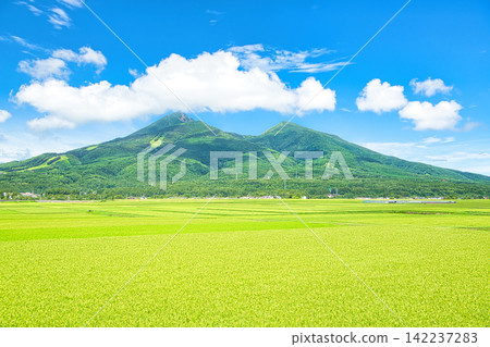 Inawashiro Town, Yama District, Fukushima Prefecture: Summer scenery of Mt. Bandai and rural landscape Inawashiro Town, Yama District, Fukushima Prefecture: Summer scenery of Mt. Bandai and rural landscape 142237283