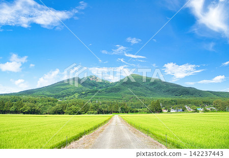 Inawashiro Town, Yama District, Fukushima Prefecture: Summer scenery of Mt. Bandai and rural landscape Inawashiro Town, Yama District, Fukushima Prefecture: Summer scenery of Mt. Bandai and rural landscape 142237443