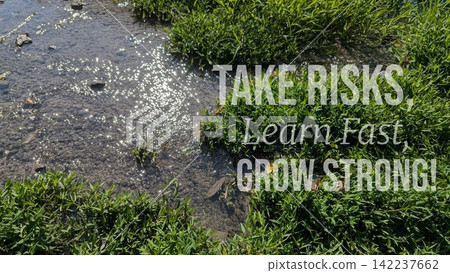 A top down view shows inspirational motivational quote text stating "TAKE RISKS, Learn Fast, GROW STRONG" overlaid on sparkling shallow river water flowing over sandy riverbed stones, lush green grass A top down view shows inspirational motivational quote text stating "TAKE RISKS, Learn Fast, GROW STRONG" overlaid on sparkling shallow river water flowing over sandy riverbed stones, lush green grass 142237662