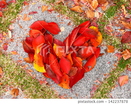 A large red heart drawn on the ground A large red heart drawn on the ground 142237878