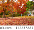 Colorful autumn leaves swaying in an empty park, and a swing 142237881