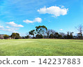 A refreshing park scene with a wide green lawn and white clouds floating in the blue sky. 142237883