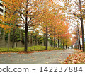 A fusion of a modern urban environment and nature, with autumn foliage along the streets. 142237884