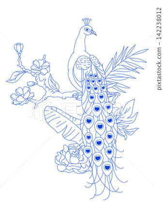 Illustration of line peacock and plants. Tropical exotic bird. Wild fauna of jungle. Illustration of line peacock and plants. Tropical exotic bird. Wild fauna of jungle. 142238012