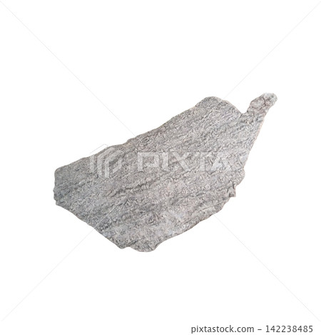 Rough textured grey tree bark fragment irregular natural wood piece isolated on white background organic forest material Rough textured grey tree bark fragment irregular natural wood piece isolated on white background organic forest material 142238485