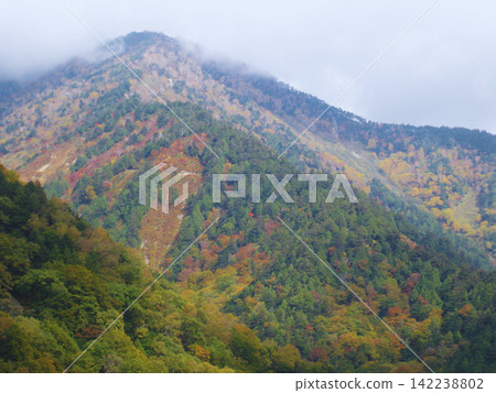 Autumn mountains and forests shrouded in mist and vibrant autumn foliage. Autumn mountains and forests shrouded in mist and vibrant autumn foliage. 142238802