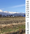 春稻田與白雪皚皚的立山 142238934