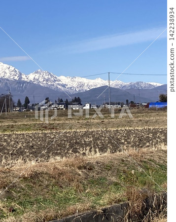 春稻田與白雪皚皚的立山 春稻田與白雪皚皚的立山 142238934