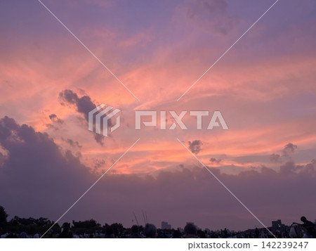 The pink sky I saw just before the fireworks display The pink sky I saw just before the fireworks display 142239247