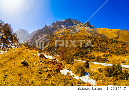 Golden Mountain Landscape with Snow Patches in Kyrgyzstan Golden Mountain Landscape with Snow Patches in Kyrgyzstan 142239347