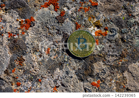 Bitcoin Coin on Lichen-Covered Rock in Kyrgyzstan Bitcoin Coin on Lichen-Covered Rock in Kyrgyzstan 142239365