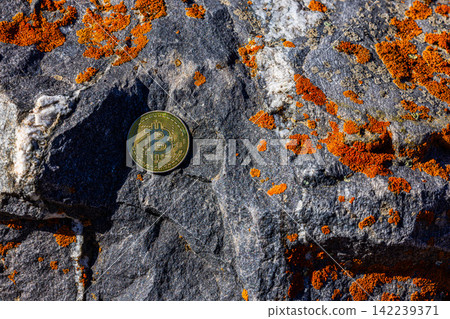 Gold Cryptocurrency Coin on Textured Rock with Lichen Gold Cryptocurrency Coin on Textured Rock with Lichen 142239371