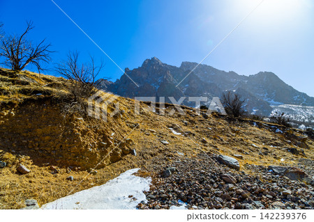 Rugged Mountain Landscape with Snow and Bare Trees Rugged Mountain Landscape with Snow and Bare Trees 142239376