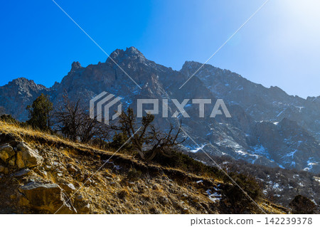 Jagged Mountain Range Over Dry Hillside in Kyrgyzstan Jagged Mountain Range Over Dry Hillside in Kyrgyzstan 142239378