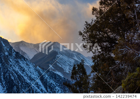 Snowy Mountain Range at Sunset with Evergreen Trees Snowy Mountain Range at Sunset with Evergreen Trees 142239474