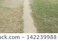 View of a narrow worn dirt foot trail running straight through a dry green grassy lawn perfect for park landscape concepts 142239988