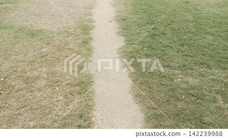 View of a narrow worn dirt foot trail running straight through a dry green grassy lawn perfect for park landscape concepts View of a narrow worn dirt foot trail running straight through a dry green grassy lawn perfect for park landscape concepts 142239988