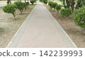 Wide shot of a long straight paved walking path bordered by trimmed small green trees in a peaceful outdoor public park area 142239993