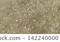 Top down view looking at dry dusty earth scattered with small tiny colorful pebbles and sparse patches of wild green grass 142240000