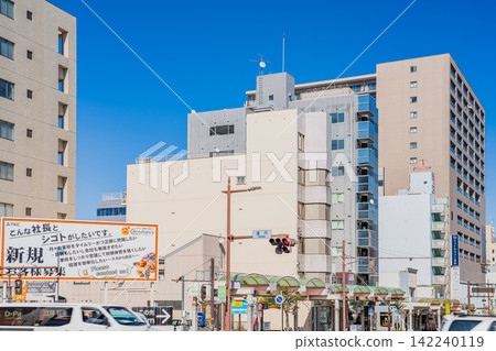濱松市容(靜岡縣) 濱松市容(靜岡縣) 142240119