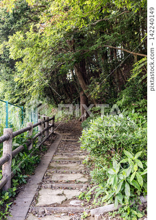 Wooden stone steps leading into a lush forest Wooden stone steps leading into a lush forest 142240149