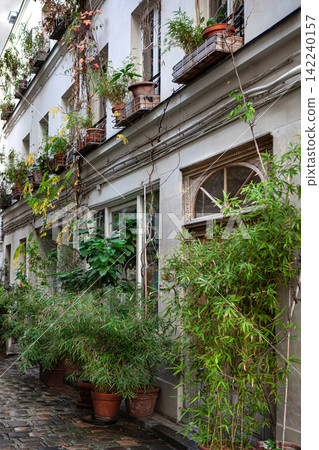 Potted plants and window boxes in a Parisian cobblestone passageway Potted plants and window boxes in a Parisian cobblestone passageway 142240157