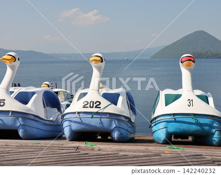 Swan boats lined up on the pier and the lake scenery - a summer leisure spot Swan boats lined up on the pier and the lake scenery - a summer leisure spot 142240232