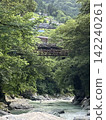 A valley and suspension bridge surrounded by fresh greenery. 142240261