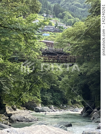 A valley and suspension bridge surrounded by fresh greenery. A valley and suspension bridge surrounded by fresh greenery. 142240261
