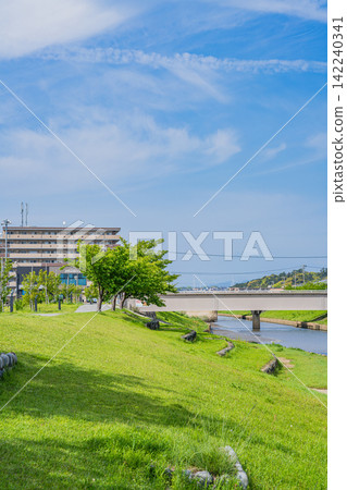 從今浦川沿岸看到的磐田市城市景觀(靜岡縣) 從今浦川沿岸看到的磐田市城市景觀(靜岡縣) 142240341