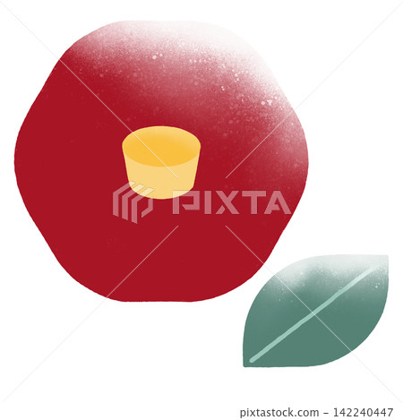 一幅描繪紅色山茶花和葉子的冬季插畫。 一幅描繪紅色山茶花和葉子的冬季插畫。 142240447