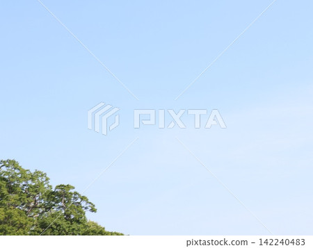 藍天綠樹,清爽的夏日天空,廣闊的開放空間。 藍天綠樹,清爽的夏日天空,廣闊的開放空間。 142240483