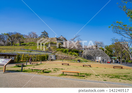 濱松城和濱松市的櫻花(靜岡縣) 濱松城和濱松市的櫻花(靜岡縣) 142240517