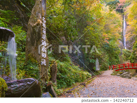 A view of the water intake at Sakamizu Falls, one of Japan's 100 best waters, along with the first waterfall and red bridge, all reflected in the autumn foliage. A view of the water intake at Sakamizu Falls, one of Japan's 100 best waters, along with the first waterfall and red bridge, all reflected in the autumn foliage. 142240712