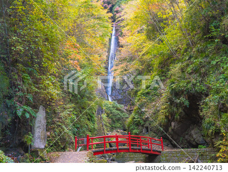 坂水瀑布是日本百大名瀑布之一,秋葉映襯下的紅色橋樑和一之瀧瀑佈景色十分美麗。 坂水瀑布是日本百大名瀑布之一,秋葉映襯下的紅色橋樑和一之瀧瀑佈景色十分美麗。 142240713