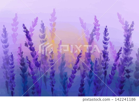 Lavender watercolor background. The lavender elegant card. Provence vintage retro decor. Wedding background Lavender watercolor background. The lavender elegant card. Provence vintage retro decor. Wedding background 142241186