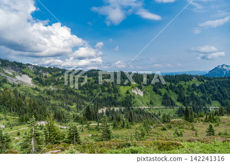 Scenic green hill mountain. Travel destination. Breathtaking summer in wild mountain with forest and green slopes. Mountain landscape with meadow. Valley landscape with cloudy sky. Adventure place Scenic green hill mountain. Travel destination. Breathtaking summer in wild mountain with forest and green slopes. Mountain landscape with meadow. Valley landscape with cloudy sky. Adventure place 142241316