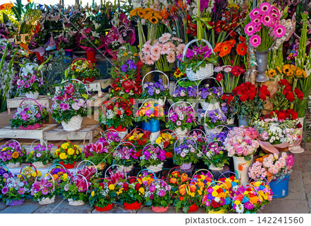 Colorful flower variety 142241560